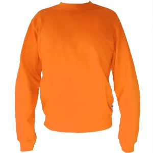 BUZO CUELLO REDONDO (Modelo Pictor)